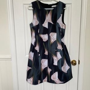 Calvin Klein Scuba Dress